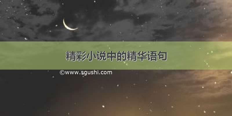 精彩小说中的精华语句