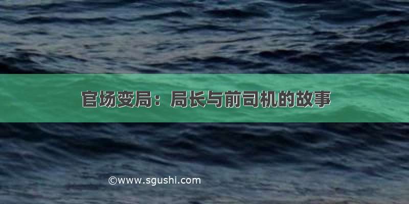 官场变局：局长与前司机的故事