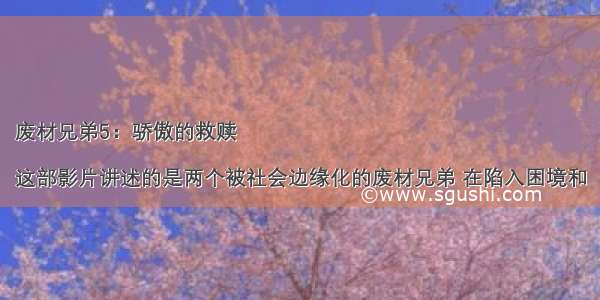 废材兄弟5：骄傲的救赎

这部影片讲述的是两个被社会边缘化的废材兄弟 在陷入困境和