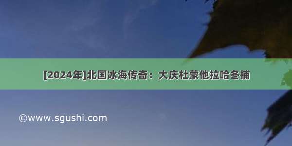 [2024年]北国冰海传奇：大庆杜蒙他拉哈冬捕