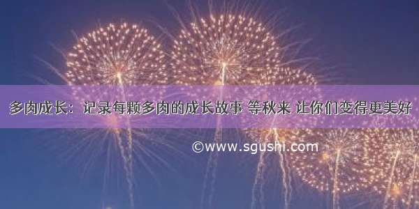 多肉成长：记录每颗多肉的成长故事 等秋来 让你们变得更美好