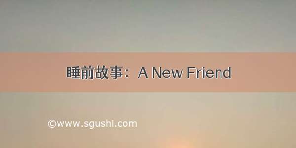 睡前故事：A New Friend