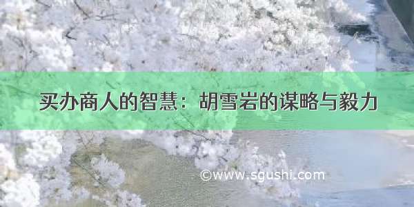 买办商人的智慧：胡雪岩的谋略与毅力