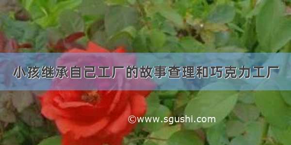 小孩继承自己工厂的故事查理和巧克力工厂