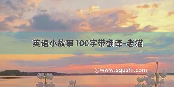 英语小故事100字带翻译-老猫